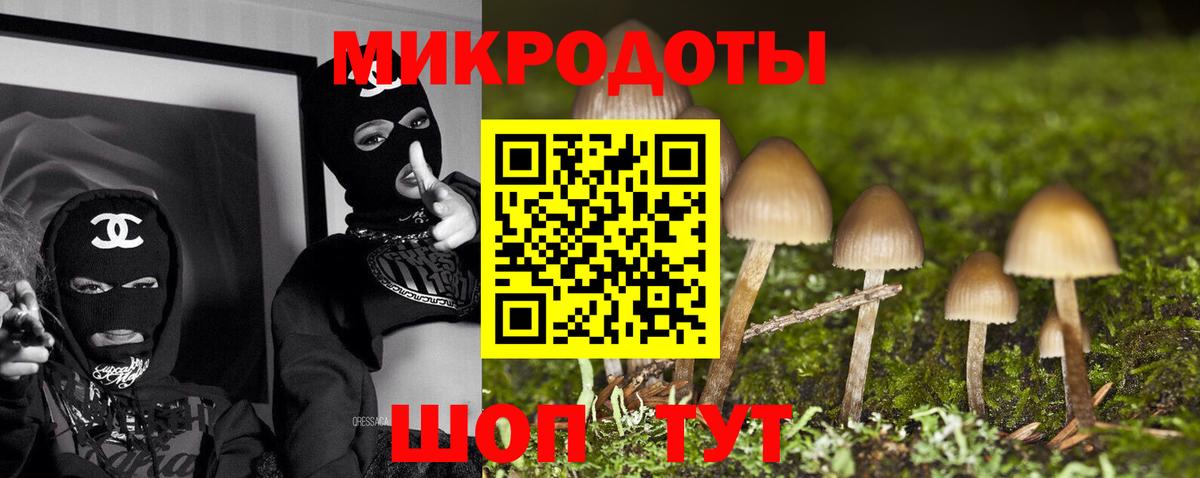 хочу наркоту  Псилоцибиновые грибы Psilocybe  Вход с VPN  Дербент  Псилоцибиновые грибы мицелий 